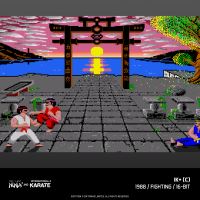 Evercade The Last Ninja and IK Collection (9)
