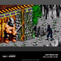 Evercade The Last Ninja and IK Collection (12)