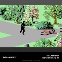 Evercade The Last Ninja and IK Collection (7)