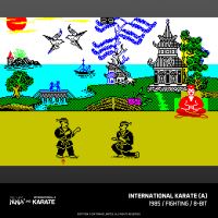 Evercade The Last Ninja and IK Collection (18)