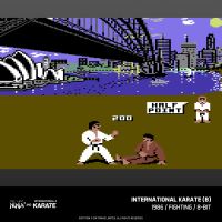 Evercade The Last Ninja and IK Collection (13)
