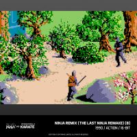 Evercade The Last Ninja and IK Collection (10)