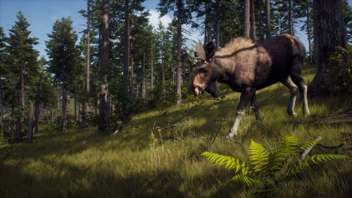 Way of the Hunter obsahuje licencovanou výbavu od Steyr Arms a nový gameplay trailer