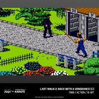 Evercade The Last Ninja and IK Collection (11)