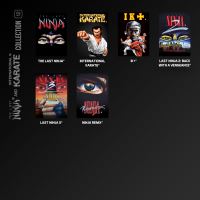 Evercade The Last Ninja and IK Collection (4)