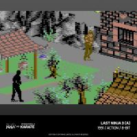 Evercade The Last Ninja and IK Collection (16)