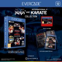 Evercade The Last Ninja and IK Collection (2)