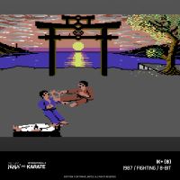 Evercade The Last Ninja and IK Collection (17)