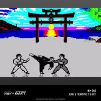 Evercade The Last Ninja and IK Collection (19)